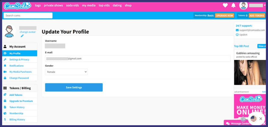 Web model profile settings